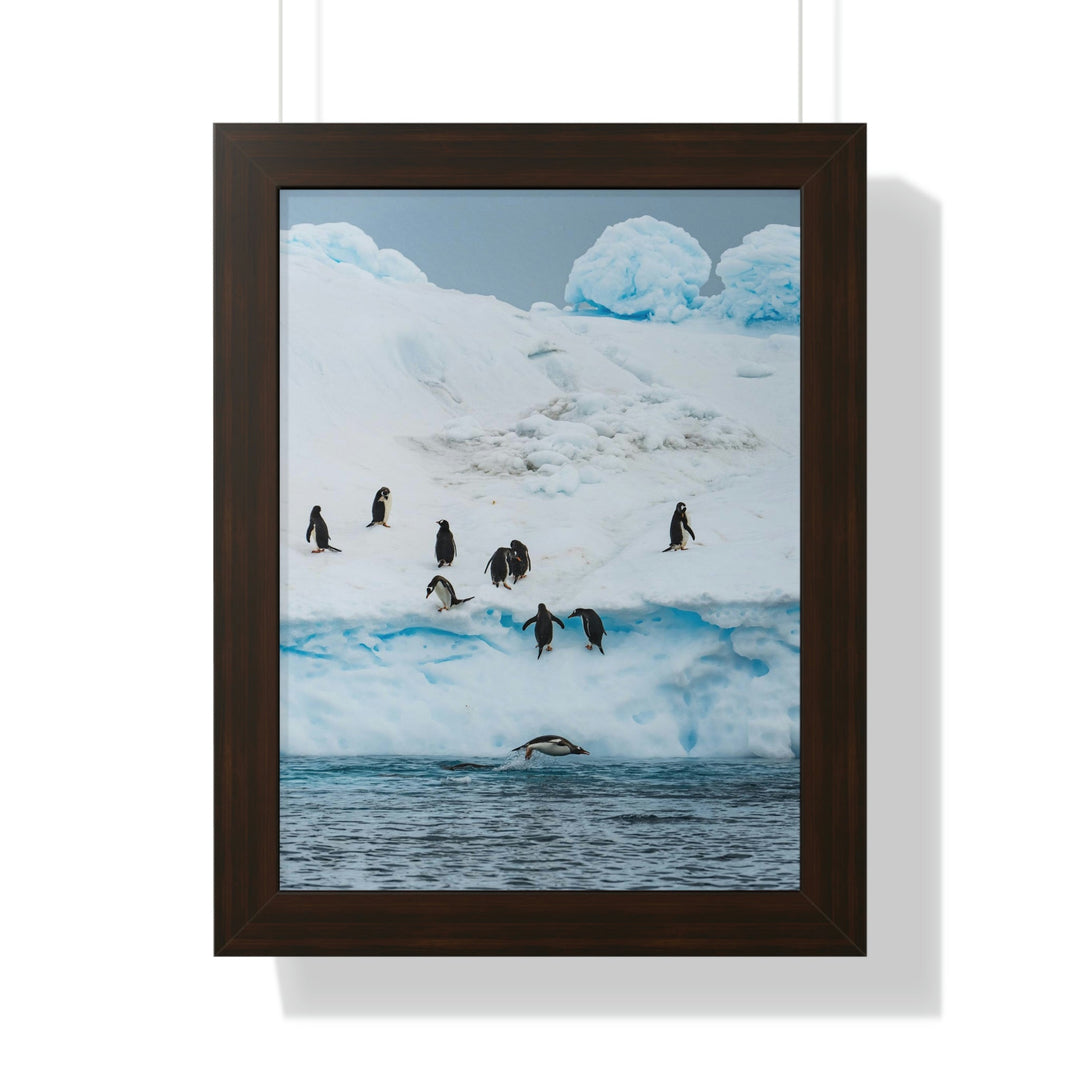 Porpoising Penguin - Framed Print - Visiting This World