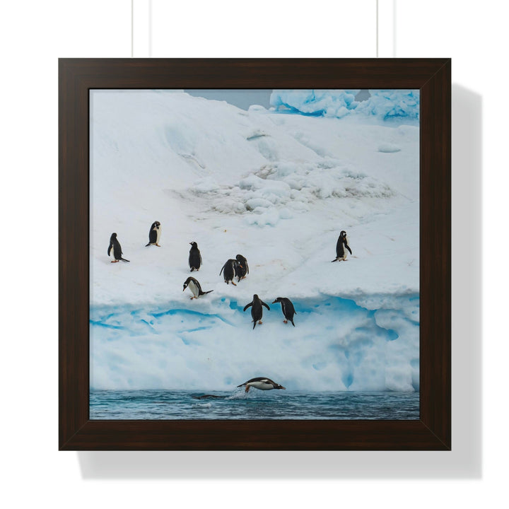 Porpoising Penguin - Framed Print - Visiting This World