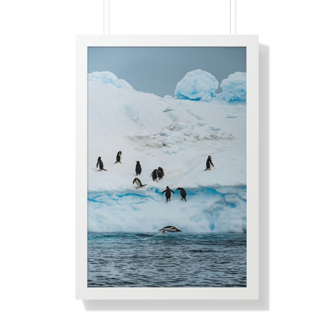 Porpoising Penguin - Framed Print - Visiting This World