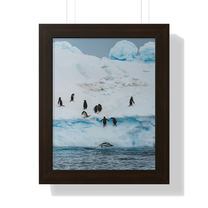 Porpoising Penguin - Framed Print - Visiting This World