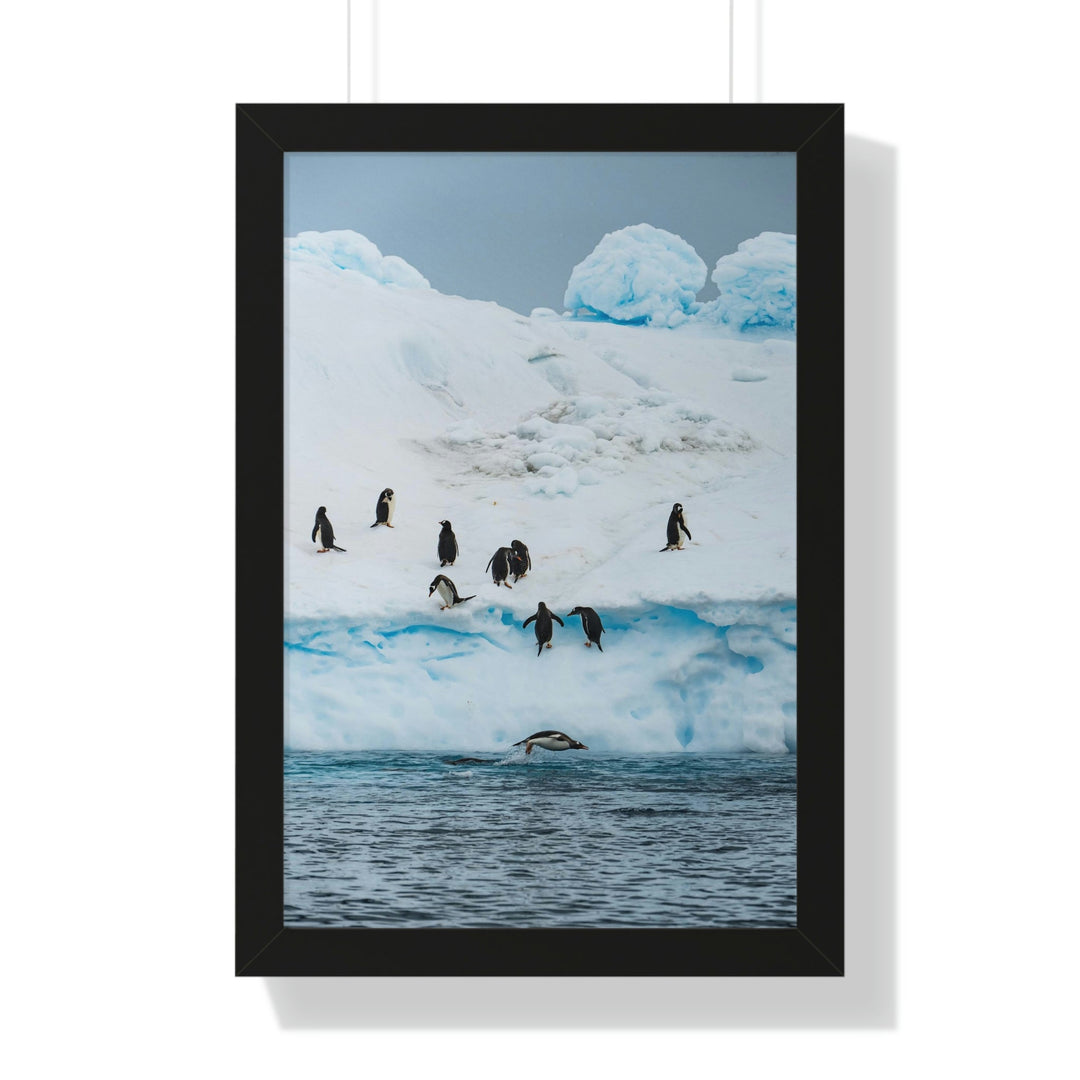 Porpoising Penguin - Framed Print - Visiting This World