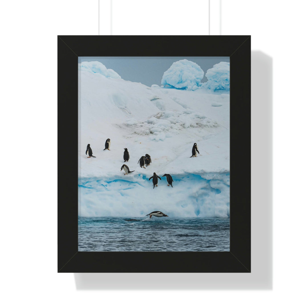 Porpoising Penguin - Framed Print - Visiting This World