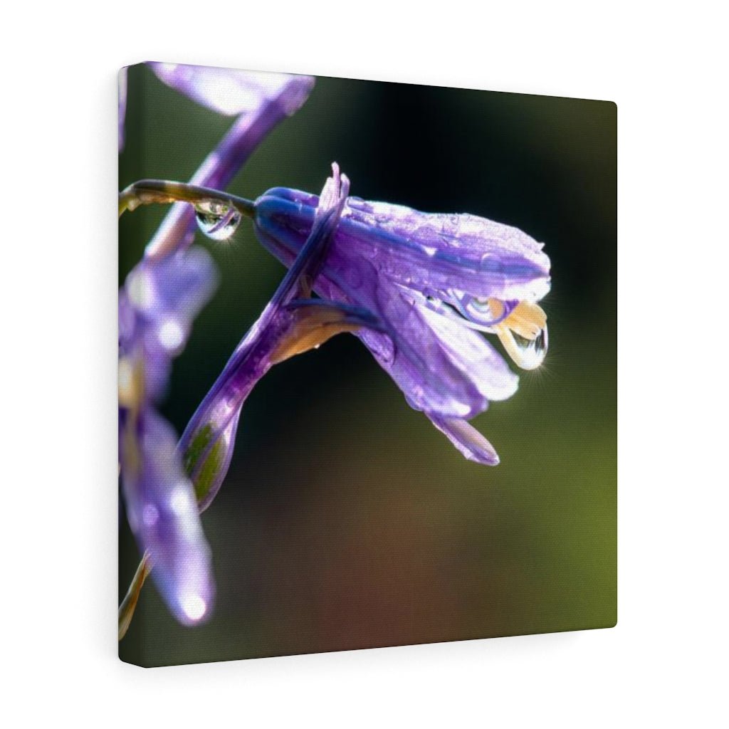 Purple Droplets - Canvas - Visiting This World