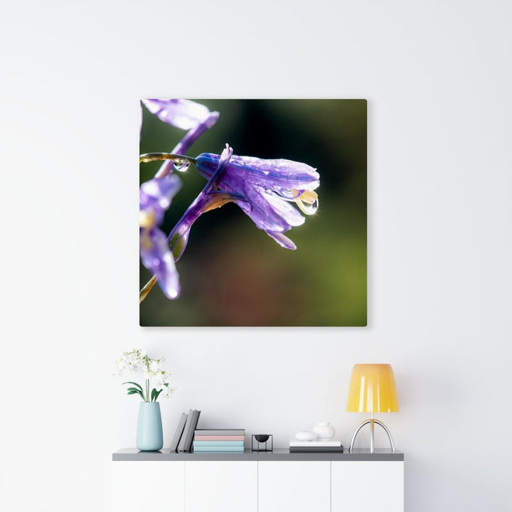 Purple Droplets - Canvas - Visiting This World