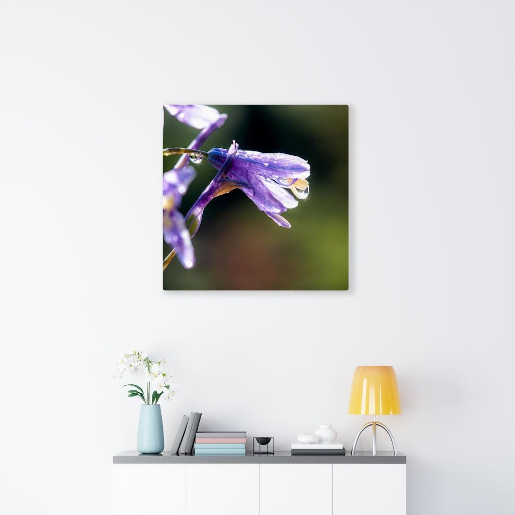 Purple Droplets - Canvas - Visiting This World