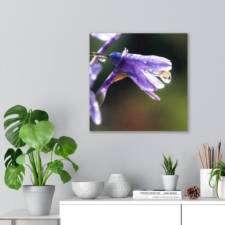 Purple Droplets - Canvas - Visiting This World