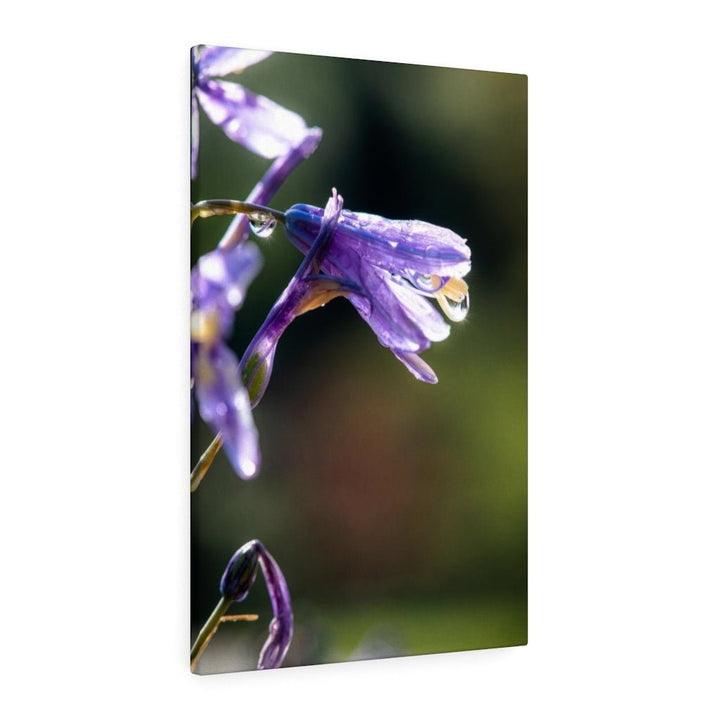 Purple Droplets - Canvas - Visiting This World