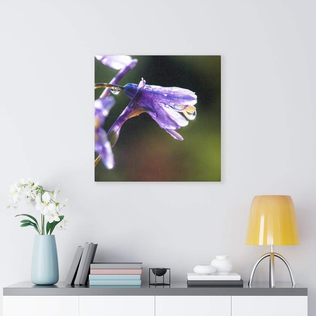 Purple Droplets - Canvas - Visiting This World