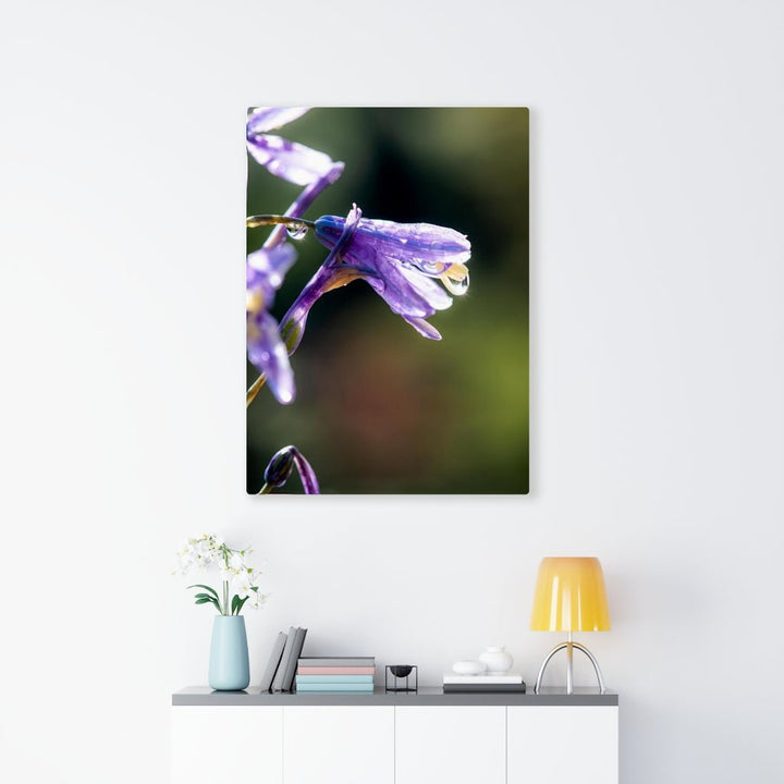 Purple Droplets - Canvas - Visiting This World