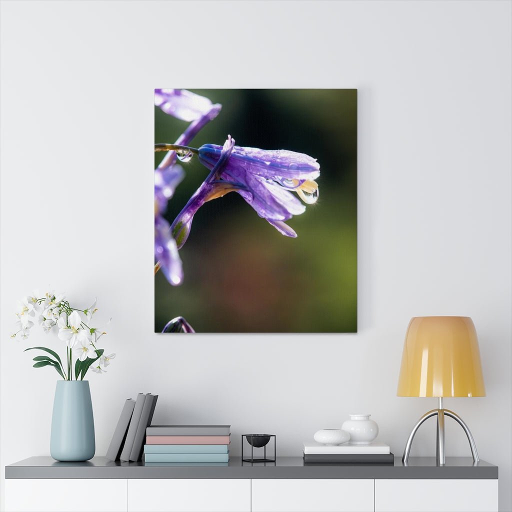 Purple Droplets - Canvas - Visiting This World