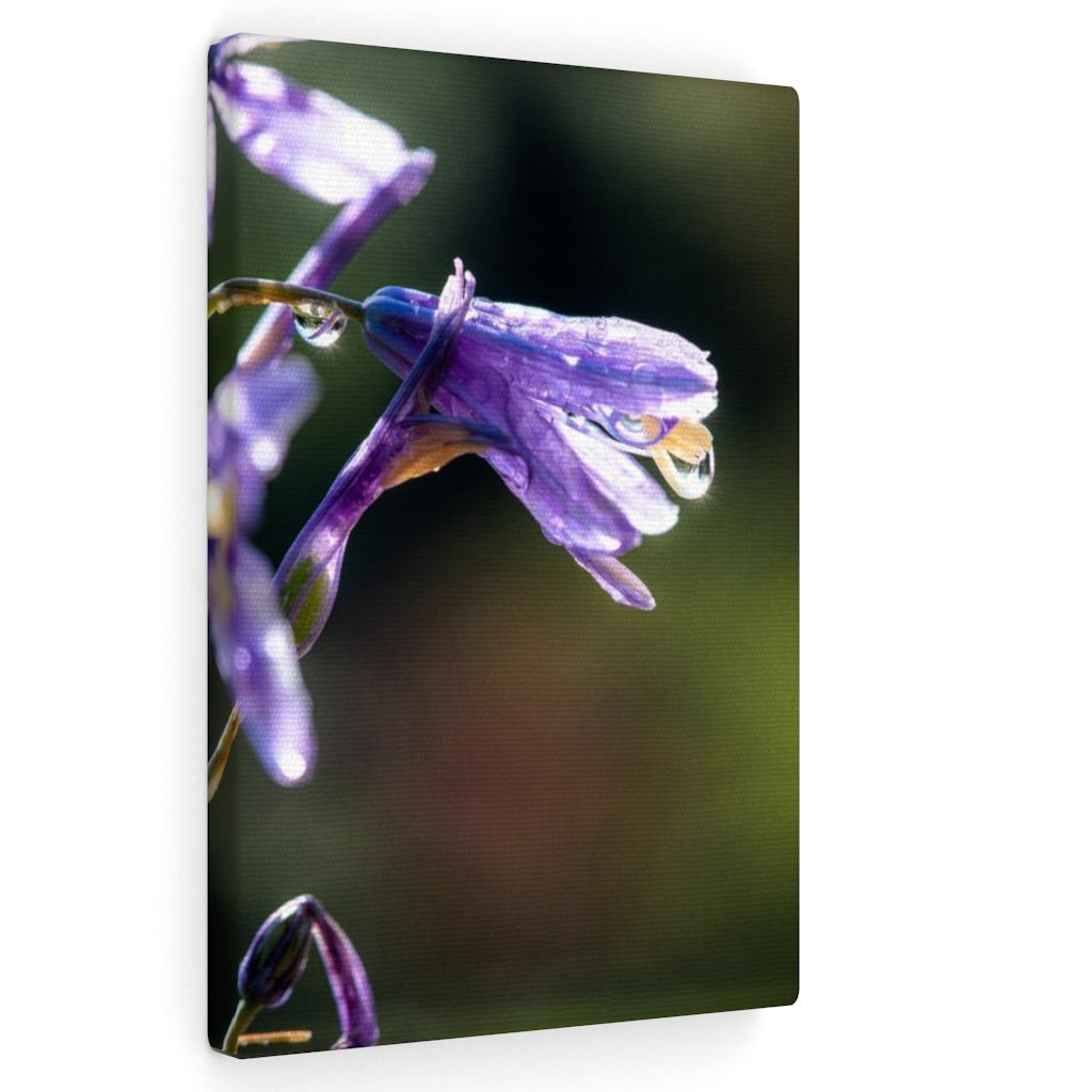 Purple Droplets - Canvas - Visiting This World