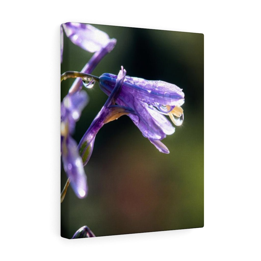 Purple Droplets - Canvas - Visiting This World