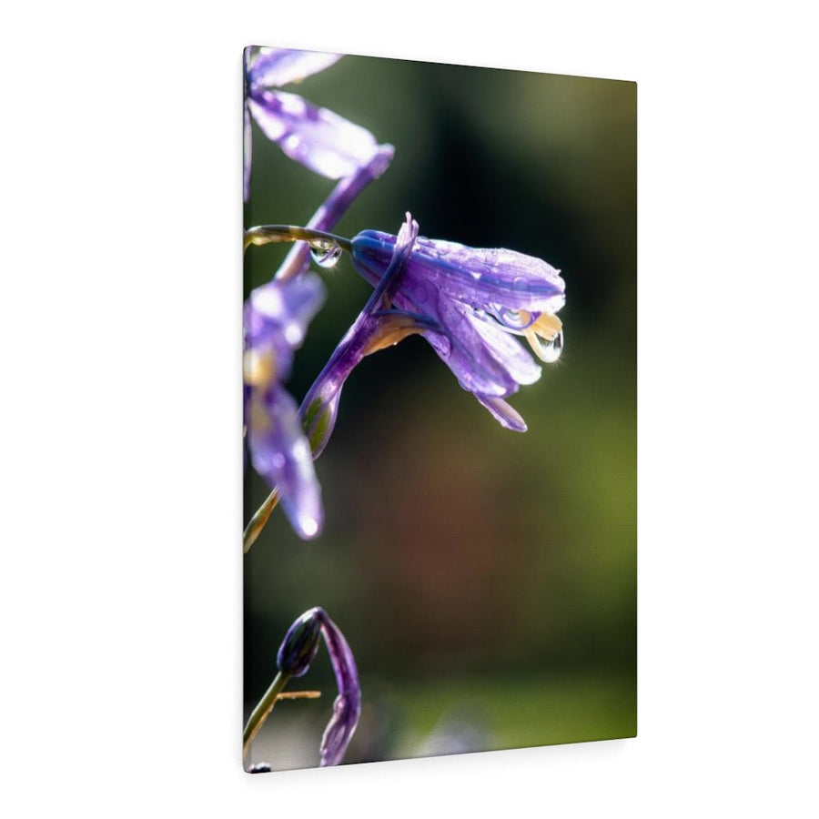 Purple Droplets - Canvas - Visiting This World