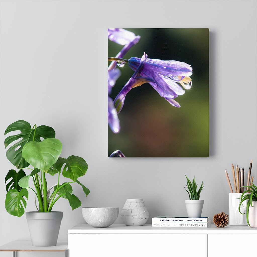 Purple Droplets - Canvas - Visiting This World