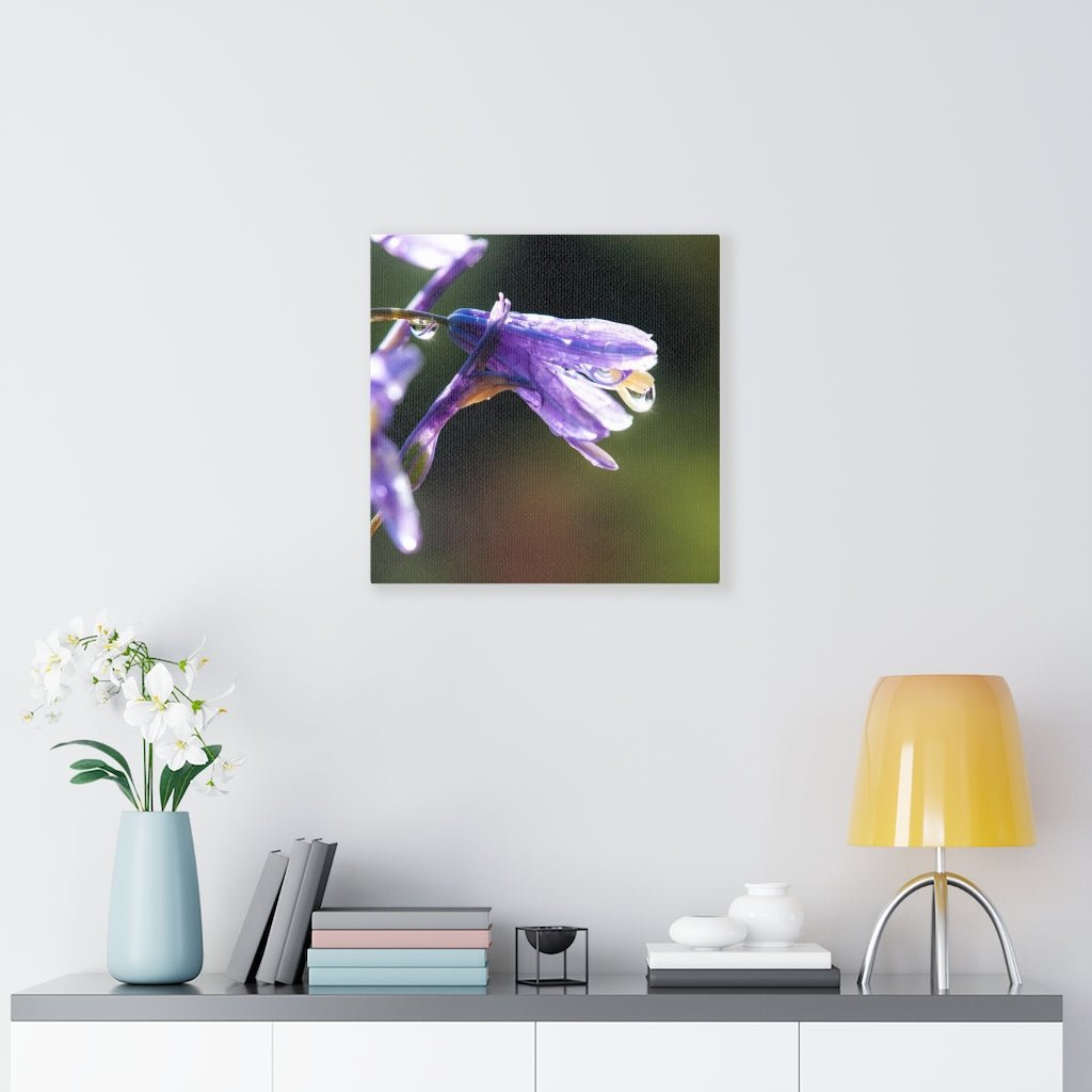 Purple Droplets - Canvas - Visiting This World