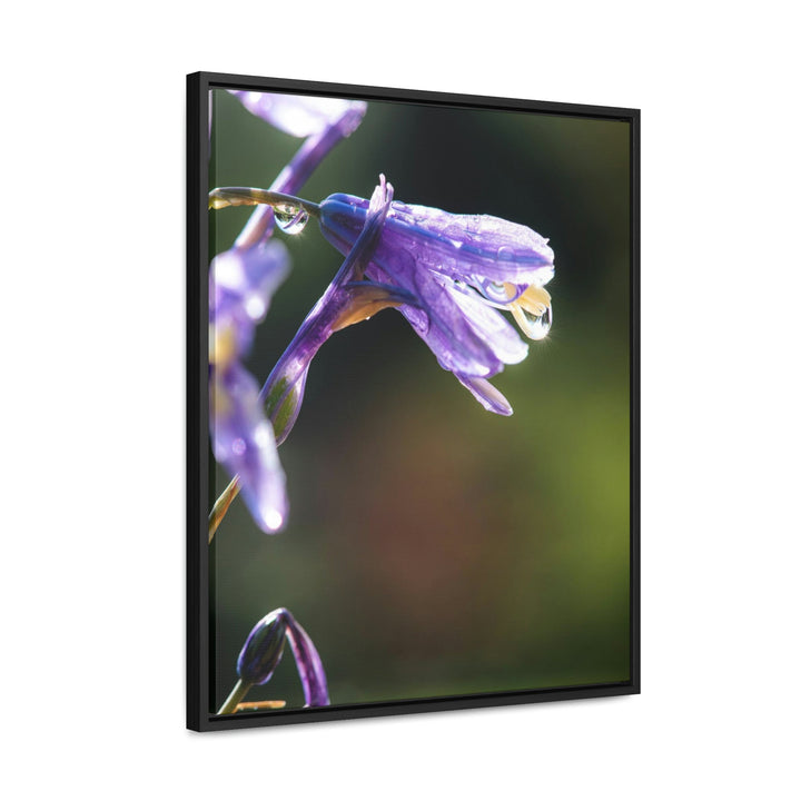 Purple Droplets - Canvas with Frame - Visiting This World