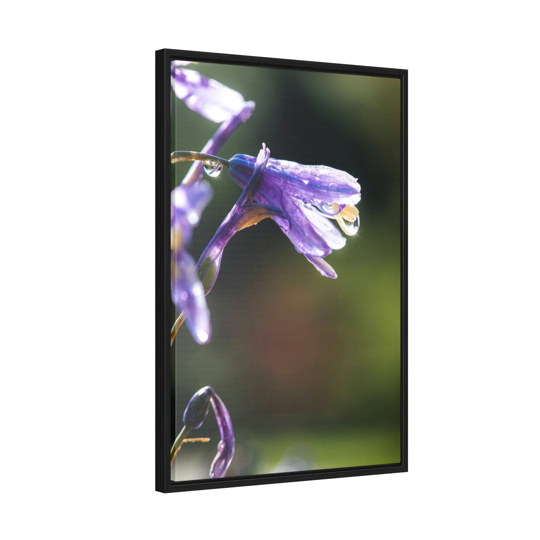 Purple Droplets - Canvas with Frame - Visiting This World