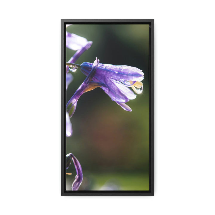 Purple Droplets - Canvas with Frame - Visiting This World