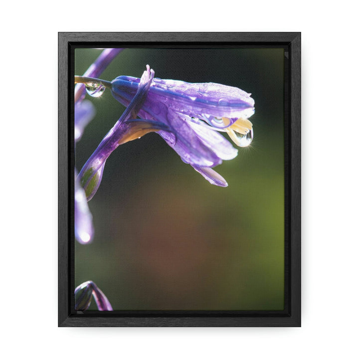 Purple Droplets - Canvas with Frame - Visiting This World