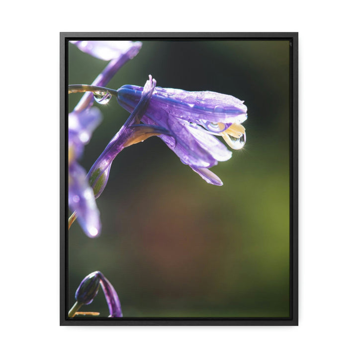 Purple Droplets - Canvas with Frame - Visiting This World