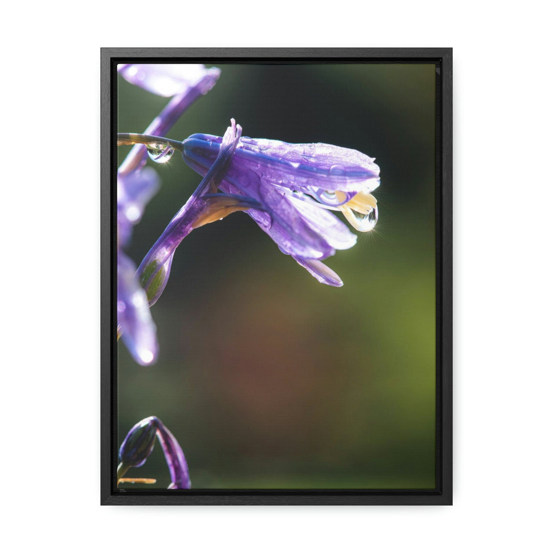 Purple Droplets - Canvas with Frame - Visiting This World