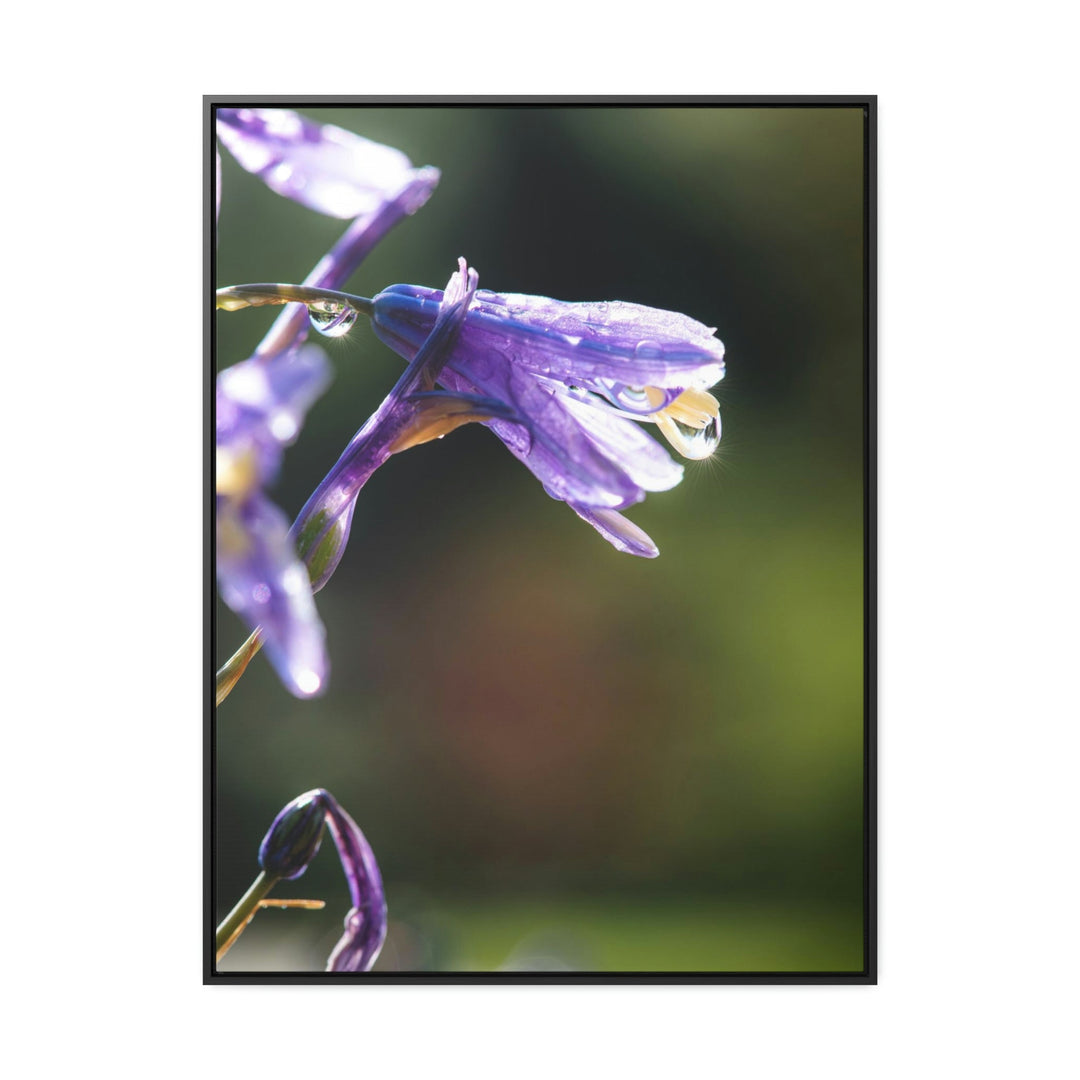 Purple Droplets - Canvas with Frame - Visiting This World