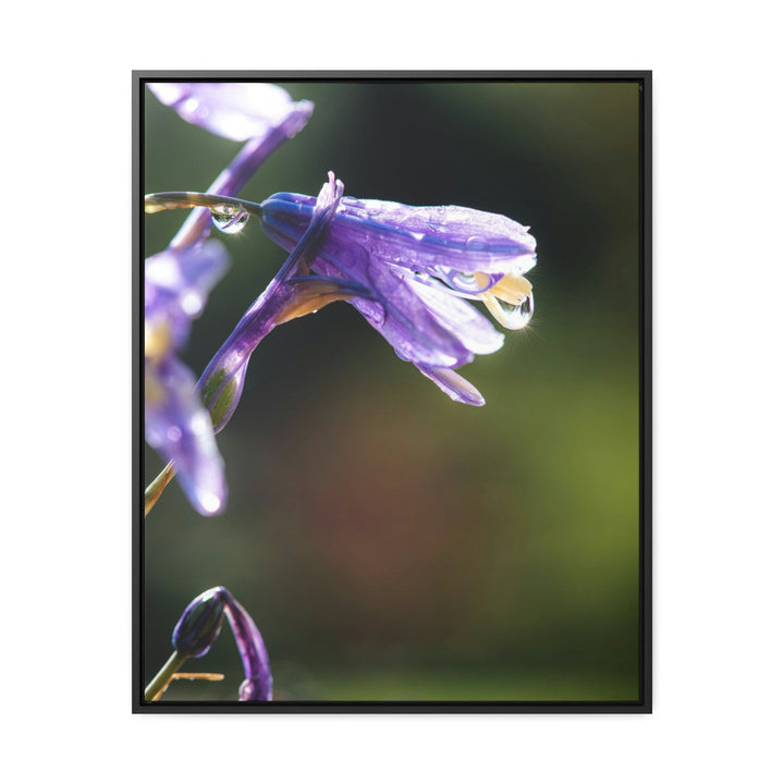 Purple Droplets - Canvas with Frame - Visiting This World