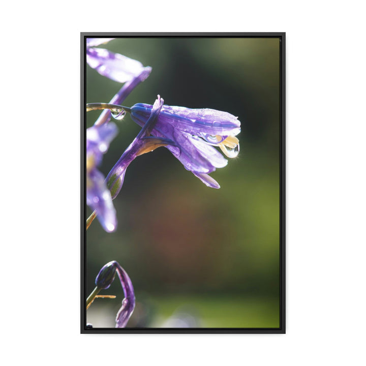 Purple Droplets - Canvas with Frame - Visiting This World