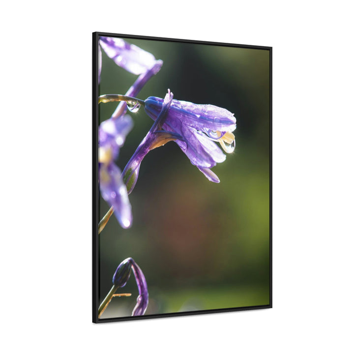 Purple Droplets - Canvas with Frame - Visiting This World