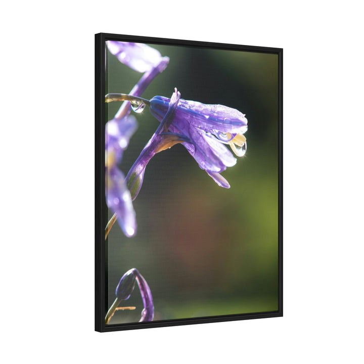 Purple Droplets - Canvas with Frame - Visiting This World