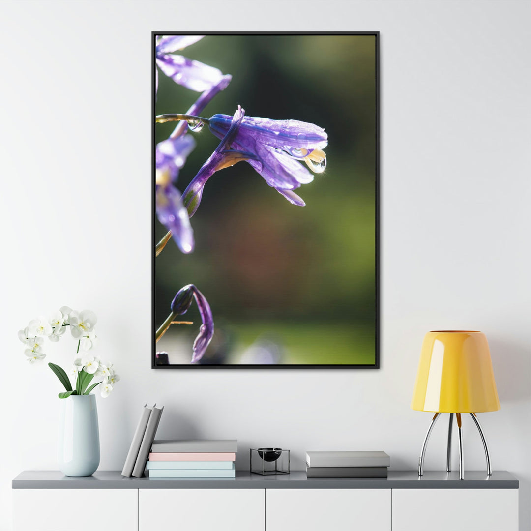 Purple Droplets - Canvas with Frame - Visiting This World