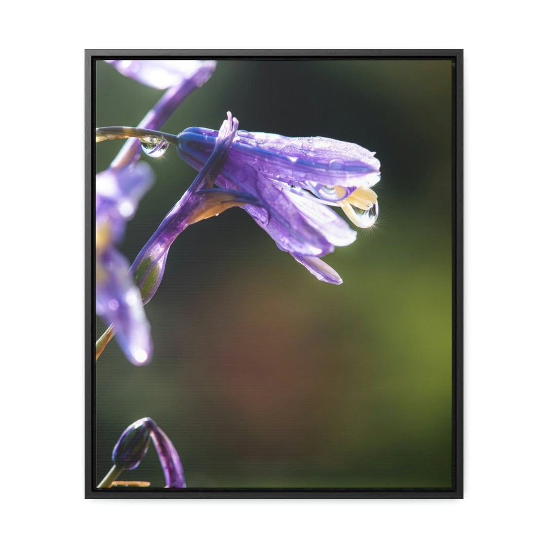 Purple Droplets - Canvas with Frame - Visiting This World