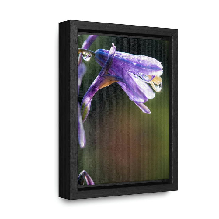 Purple Droplets - Canvas with Frame - Visiting This World