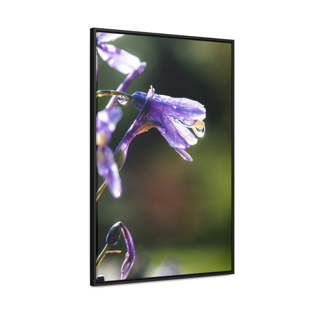 Purple Droplets - Canvas with Frame - Visiting This World