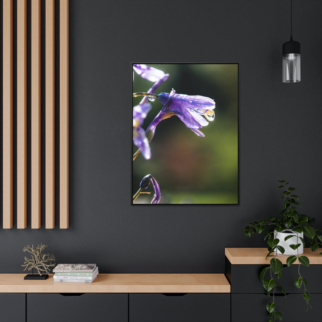 Purple Droplets - Canvas with Frame - Visiting This World