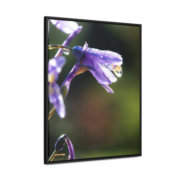 Purple Droplets - Canvas with Frame - Visiting This World