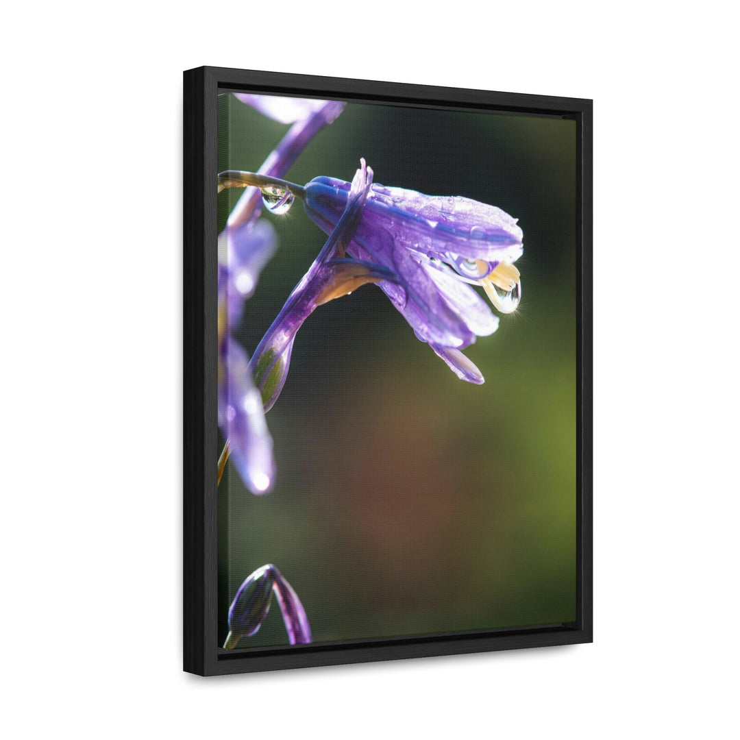 Purple Droplets - Canvas with Frame - Visiting This World