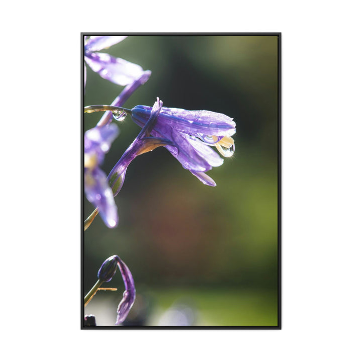 Purple Droplets - Canvas with Frame - Visiting This World