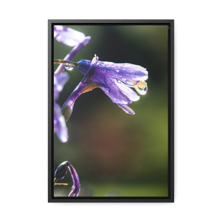 Purple Droplets - Canvas with Frame - Visiting This World