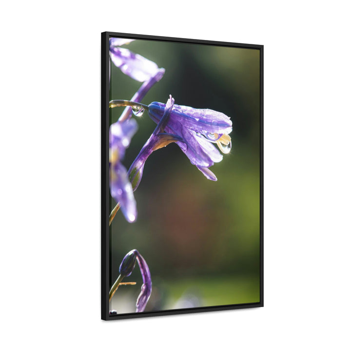 Purple Droplets - Canvas with Frame - Visiting This World