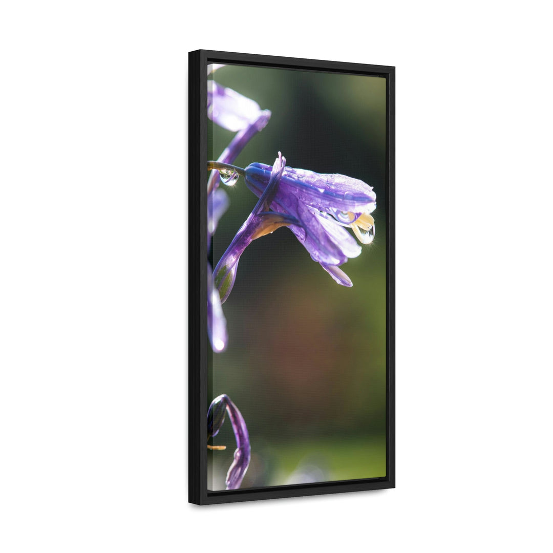 Purple Droplets - Canvas with Frame - Visiting This World