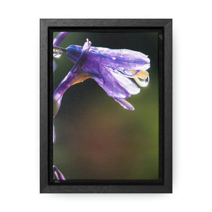 Purple Droplets - Canvas with Frame - Visiting This World