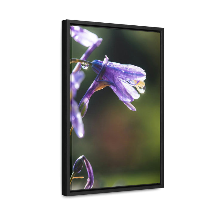 Purple Droplets - Canvas with Frame - Visiting This World