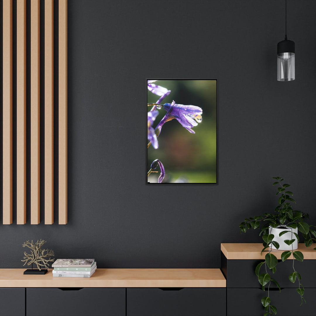 Purple Droplets - Canvas with Frame - Visiting This World