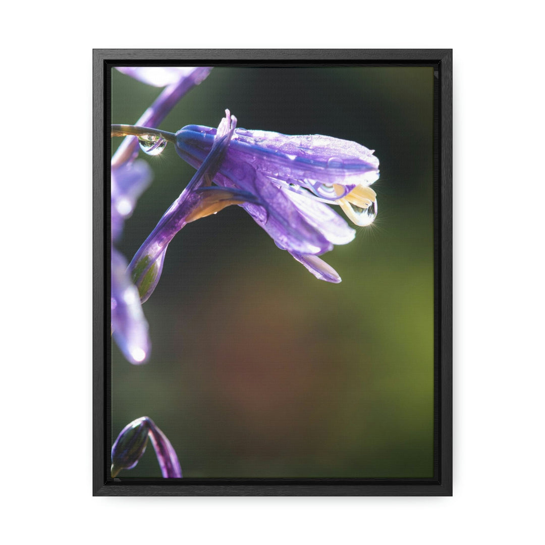 Purple Droplets - Canvas with Frame - Visiting This World