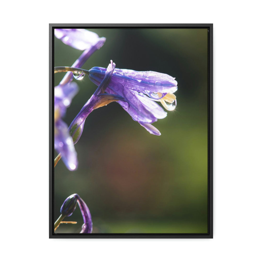 Purple Droplets - Canvas with Frame - Visiting This World