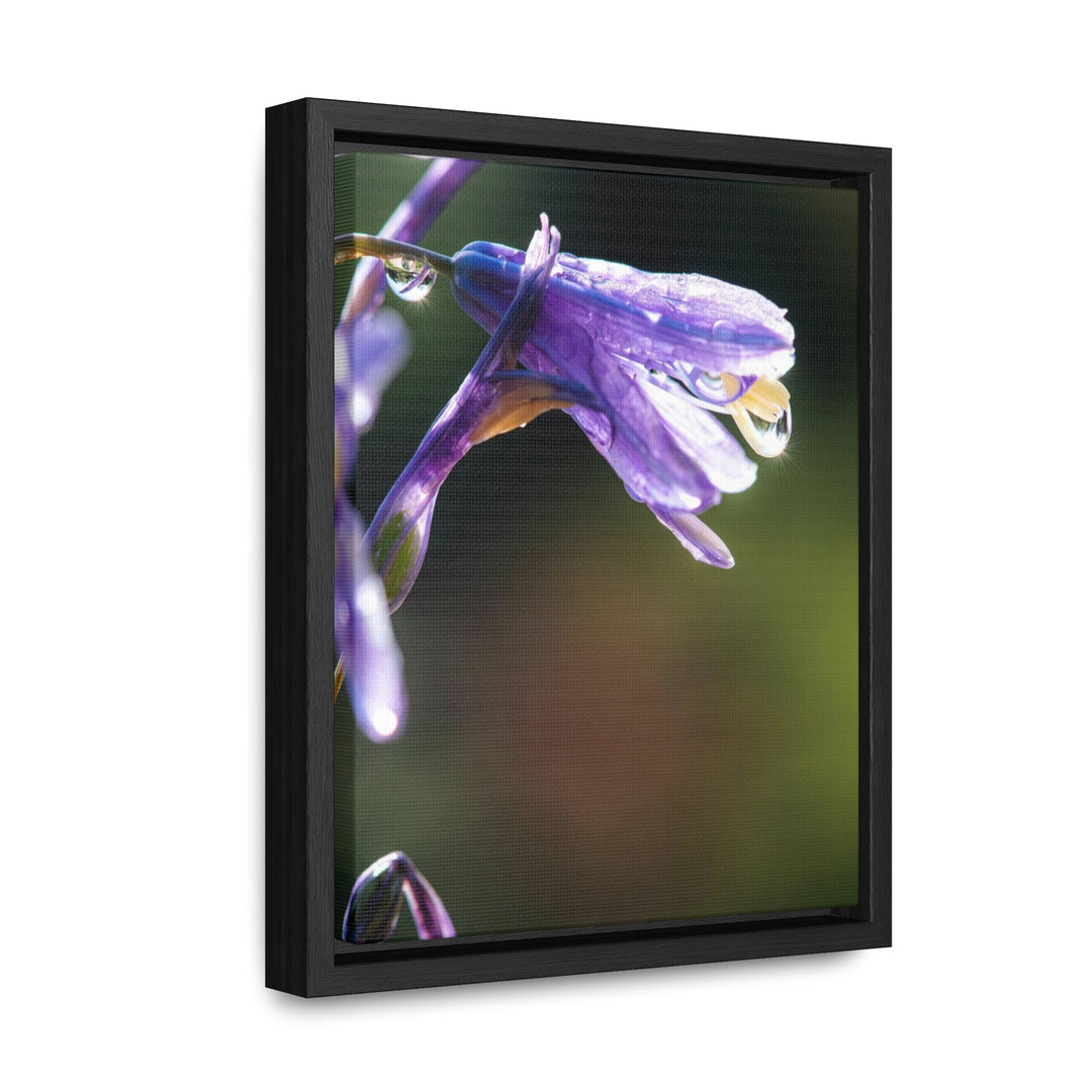 Purple Droplets - Canvas with Frame - Visiting This World