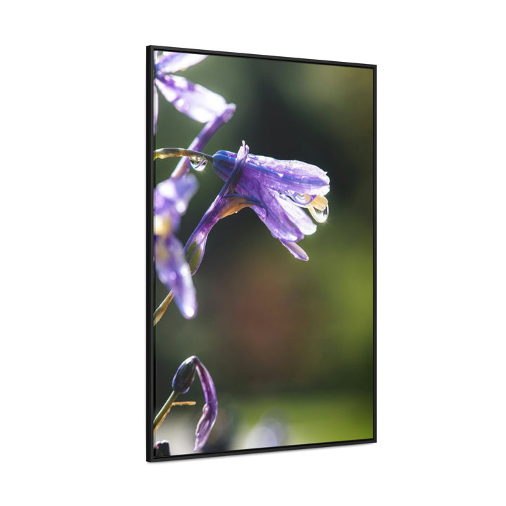 Purple Droplets - Canvas with Frame - Visiting This World