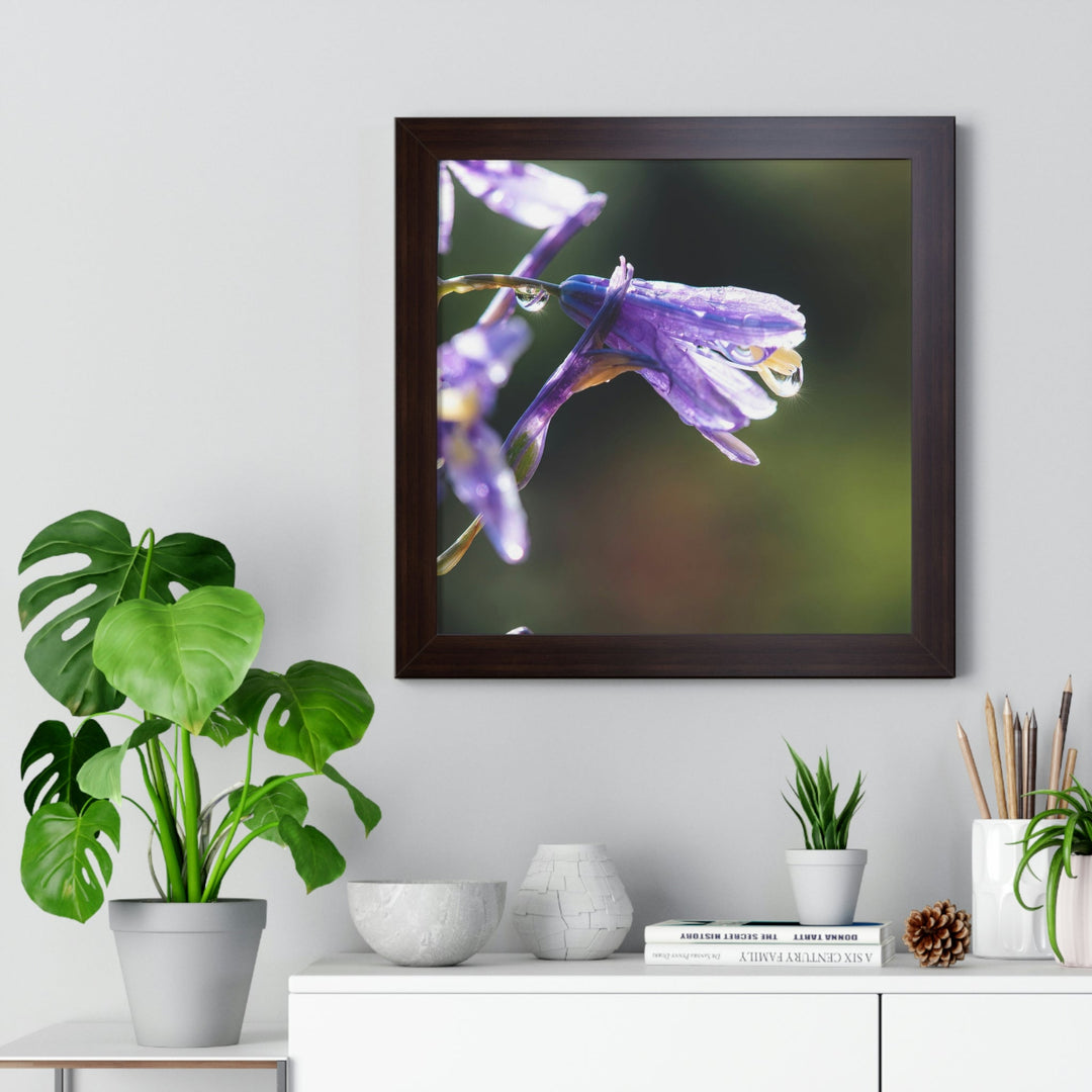 Purple Droplets - Framed Print - Visiting This World