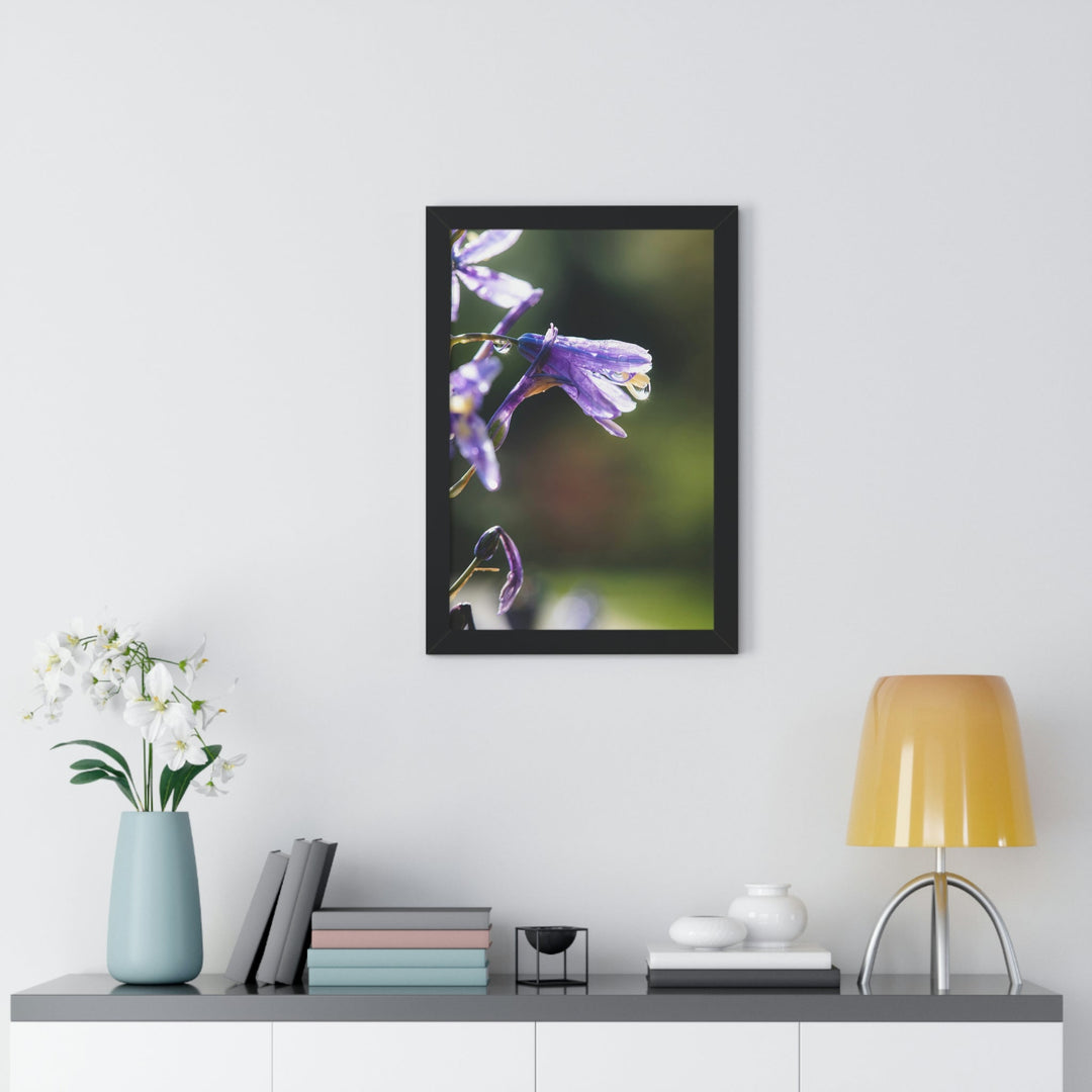 Purple Droplets - Framed Print - Visiting This World